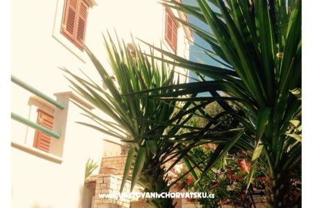 Apartmani Belić  foto 5