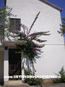 Apartmani Beroš foto 2