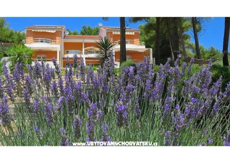 Apartmani Deveron foto 2