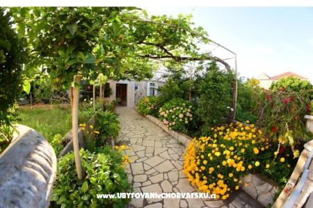 Apartmani  Mate Slavic otok Hvar Hrvatska