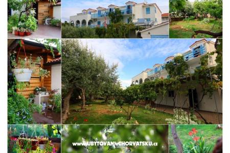 Jadranka Franičević otok Hvar Hrvatska