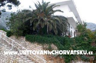 Apartmani  Ines foto 2