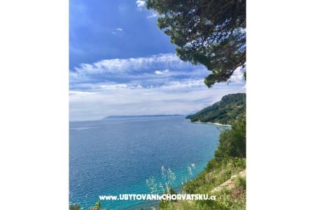 Apartmani  Ines foto 4