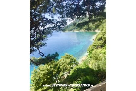 Apartmani  Ines foto 5
