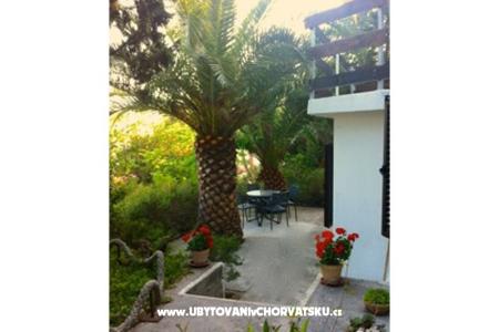 Apartman Lavanda foto 4