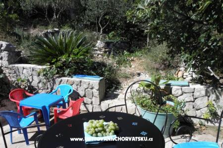 Apartmani Šime Pelješac foto 5