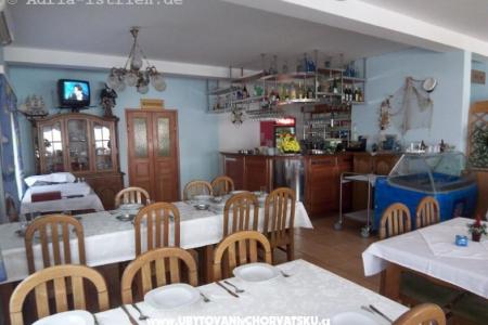 Apartmani Delfin foto 5