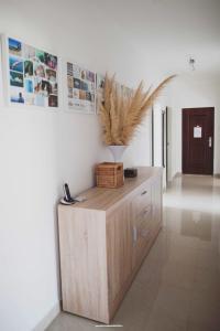 Apartman Sempervivum foto 4