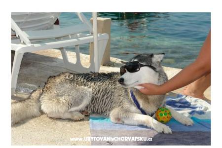 AG Komarna | Pelješac B. Apartmani Klek Hrvatska