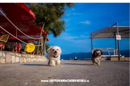 AG Komarna | Pelješac B. Apartmani foto 5