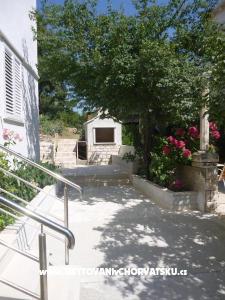 Apartman Eli foto 2