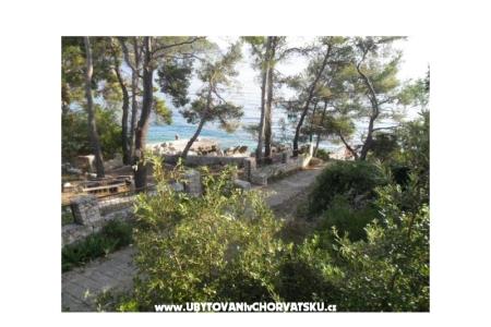 Apartmani Ančila foto 3