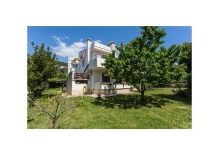 Apartmani Marietto foto 4
