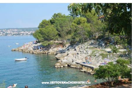 Apartmani Petković foto 2