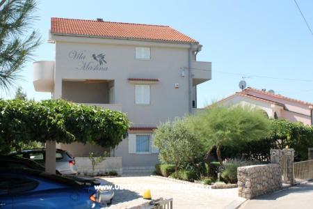 Apartmani Vila Maslina otok Krk Hrvatska