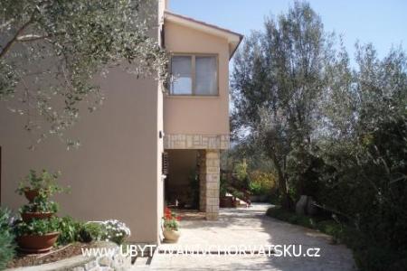 Apartmani Kornic foto 2