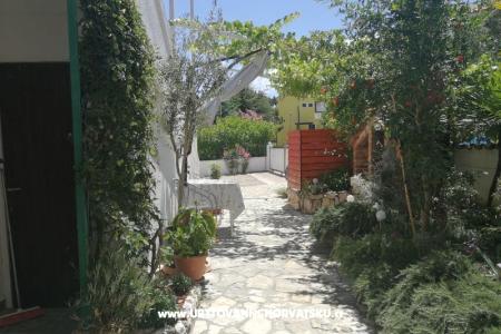 Studio Apartmani Cene foto 4