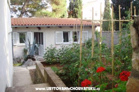 Apartman Anci foto 2