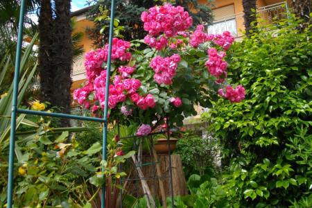 Apartman Ines foto 2