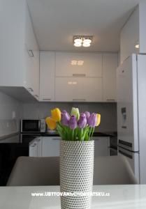 Apartman ARIA foto 3