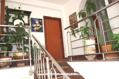 Apartmani Mihić foto 5