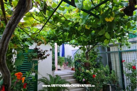 Apartmani Vinea foto 2