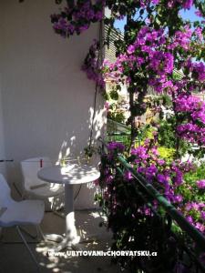 Apartmani Villa Luce foto 3