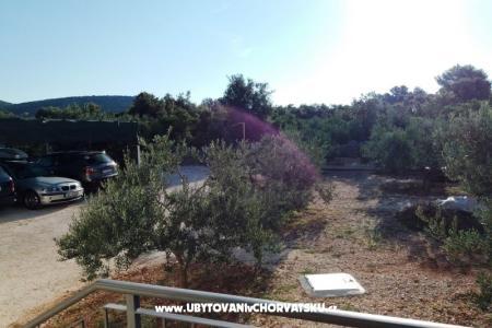 Apartmani Liljana foto 5