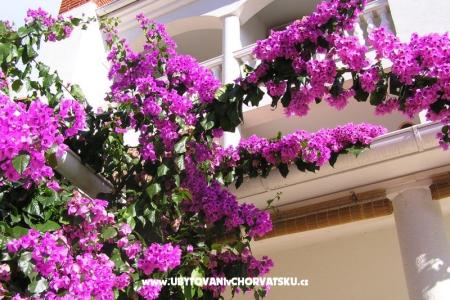 Apartmani Paloma blanca - Oaza Reg foto 2