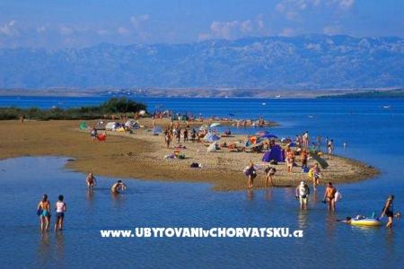 Apartmani Pekić foto 3