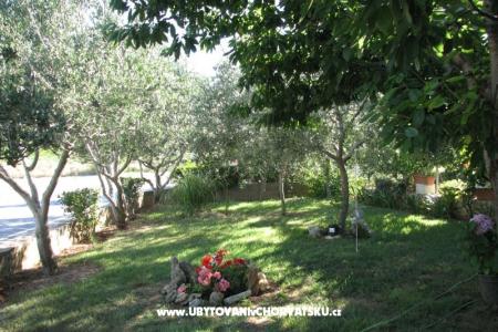 Apartmani Baras foto 4