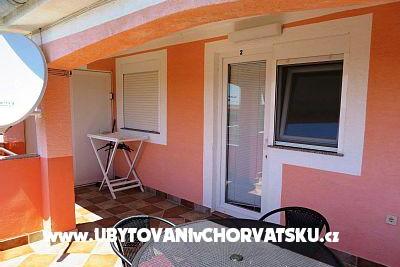 Ruža foto 2