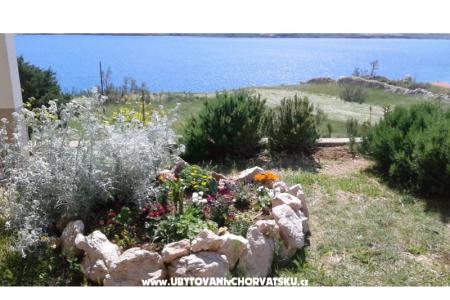 Apartmani Ante foto 5