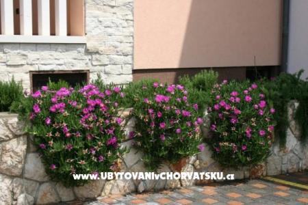 Apartmani Grga foto 5
