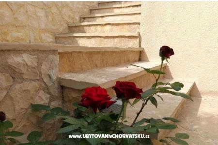 Apartmani Egidio foto 4