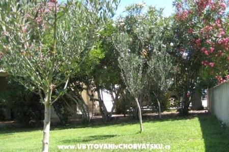 Apartmani Suljic family foto 2