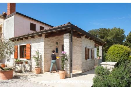 Antonia Novigrad Hrvatska