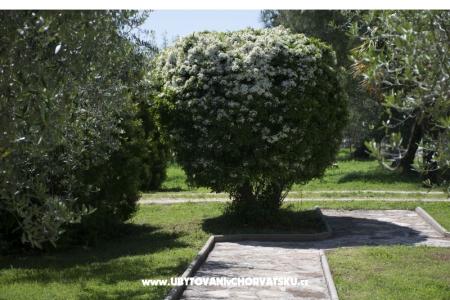 Sanja Apartmani Novigrad foto 3