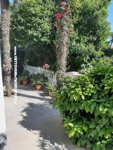 Apartmani Baričević foto 5