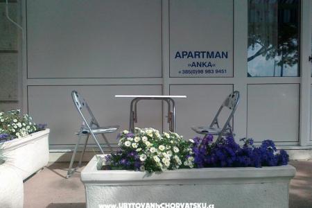 Apartman ANKA S. foto 3