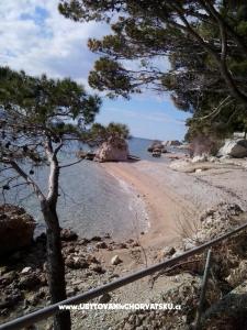 Apartman Danica foto 4