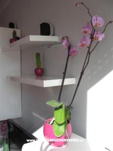 Apartman Ivančica foto 3