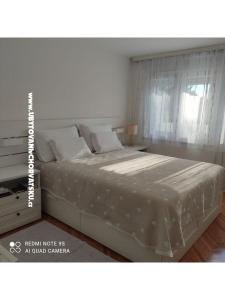 Apartman Popović foto 2