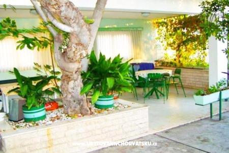Apartmani Ana foto 4
