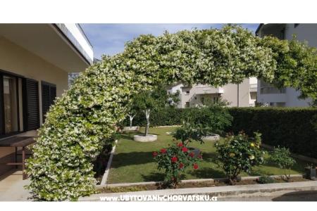 Apartmani Danica foto 5