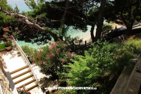 Apartmani Darka na plaži foto 2
