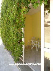 Apartmani Dominik foto 3
