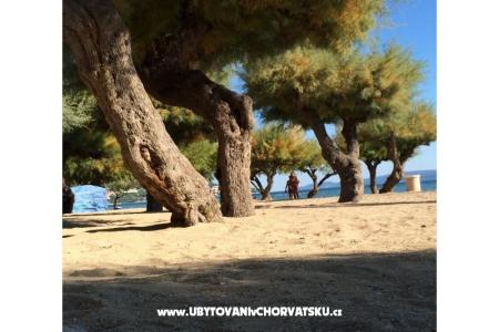 Apartmani Ivanka Omiš Hrvatska