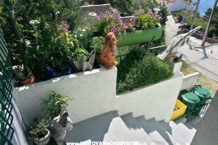 Apartmani Juričić Pisak foto 2