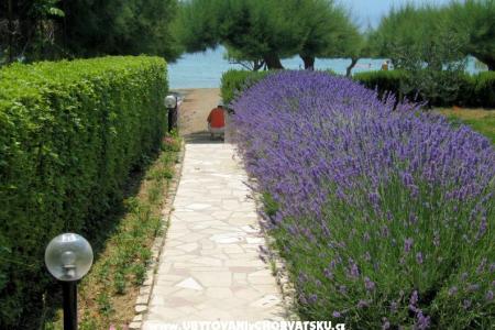 Apartmani Lavanda foto 3